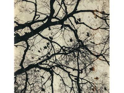 Neuronal